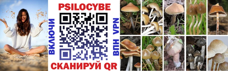 мега онион  Шахунья  Галлюциногенные грибы Magic Shrooms  цены наркотик 