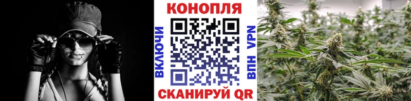 MEGA вход  Шахунья  Бошки марихуана сатива 